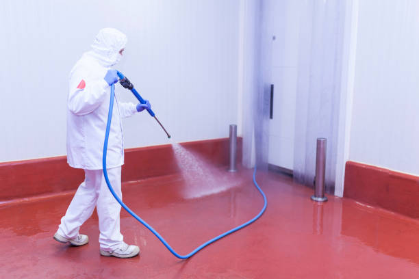 Trusted Anderson, SC Pressure Washing Experts